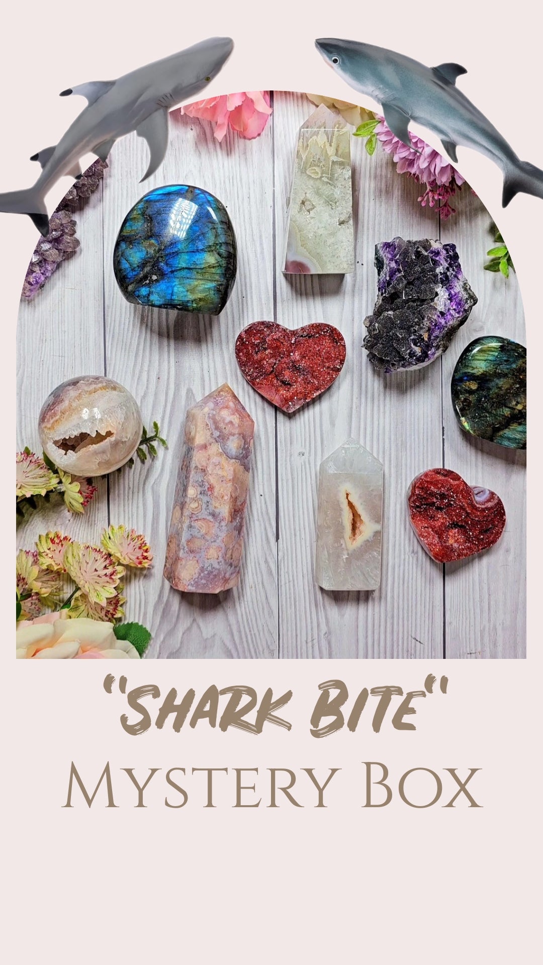 "Shark Bite" Mystery Box