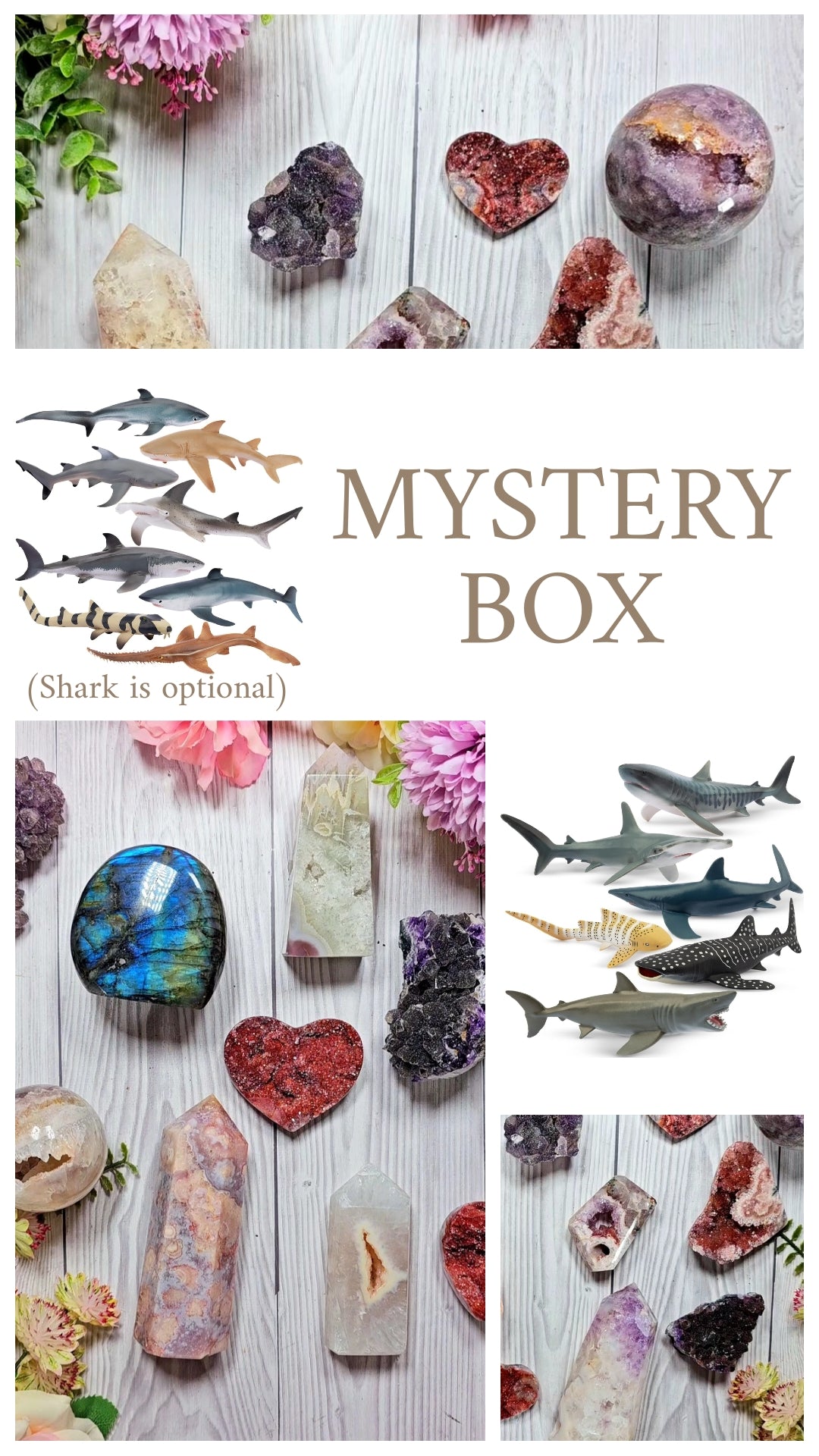 "Shark Bite" Mystery Box