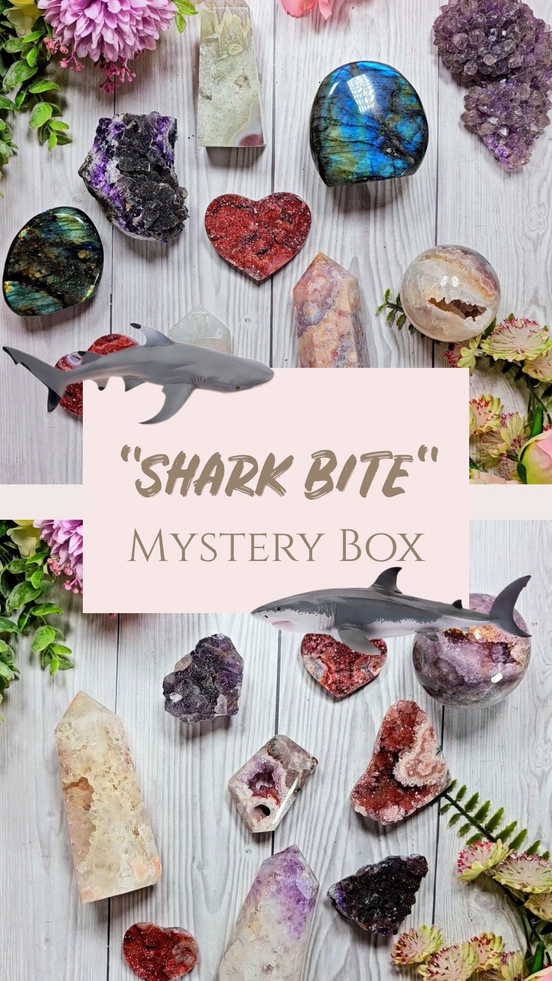 "Shark Bite" Mystery Box