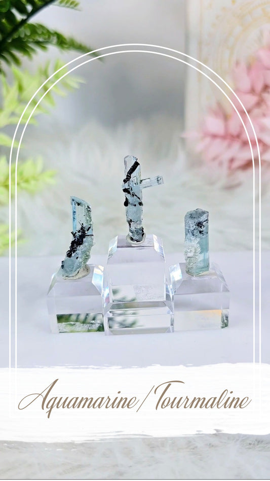 Aquamarine with Tourmaline Specimens on Base