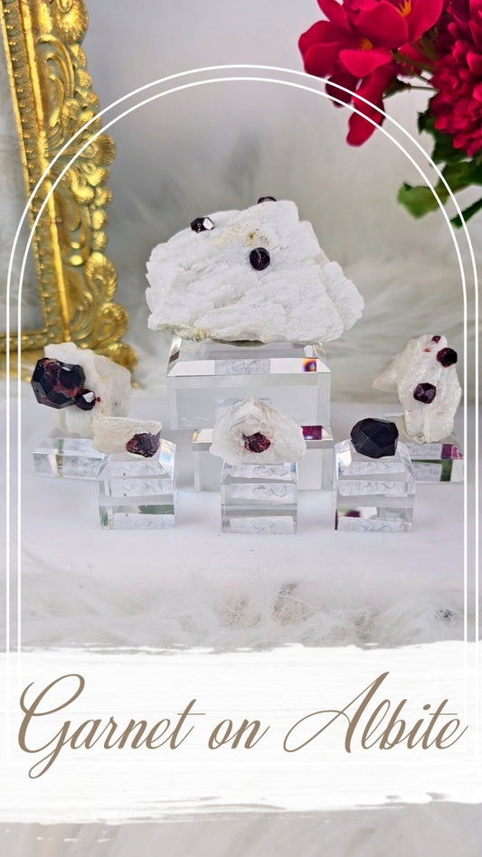 Garnet on Albite / Muscovite