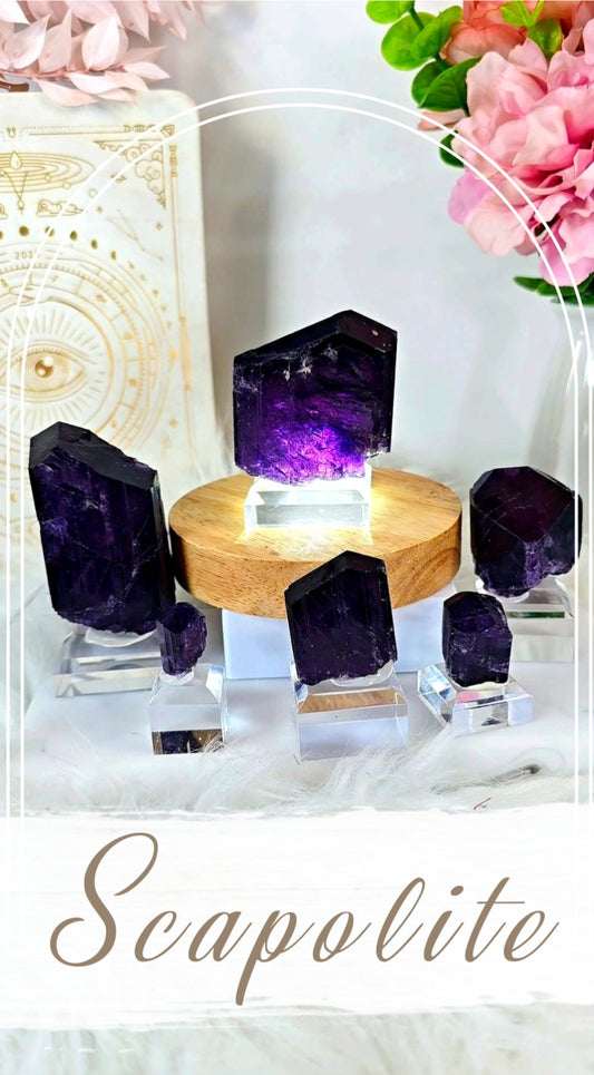 Terminated Scapolites on Base