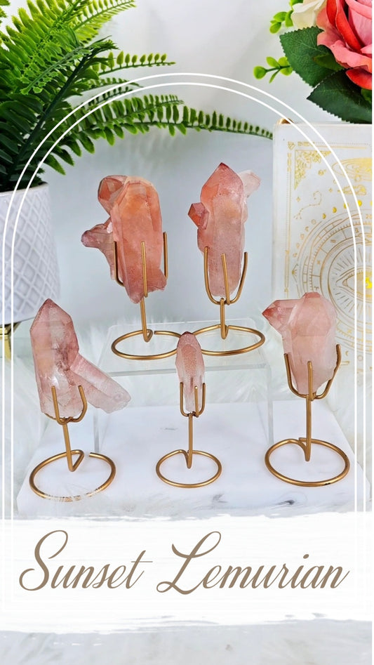 Sunset Lemurian on Stand