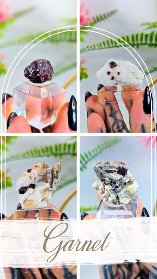 Garnet on Albite / Muscovite