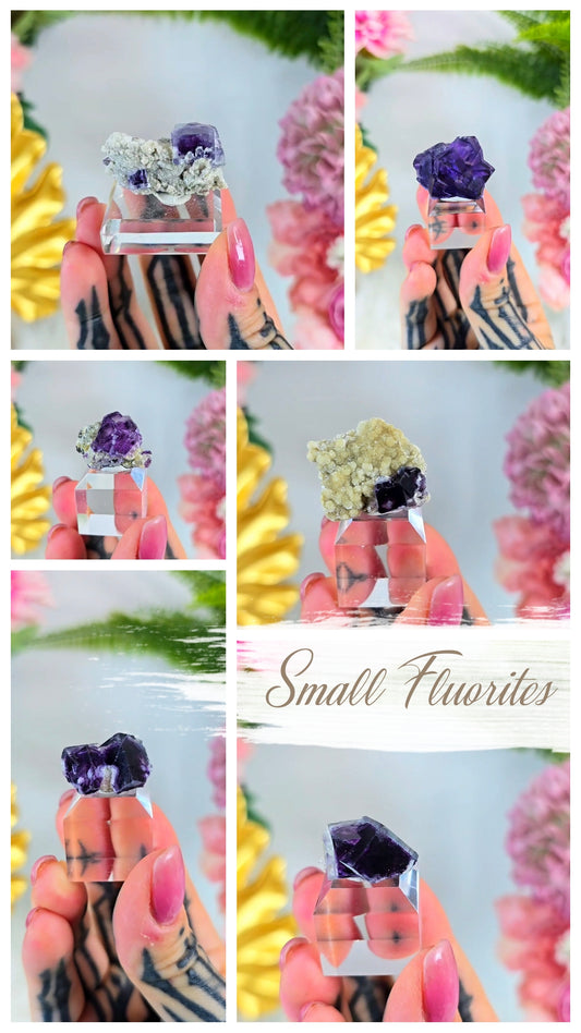 Small Fluorites on Base