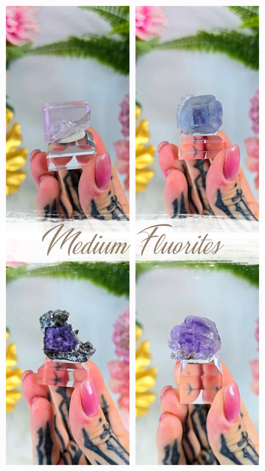 Medium Fluorites on Base