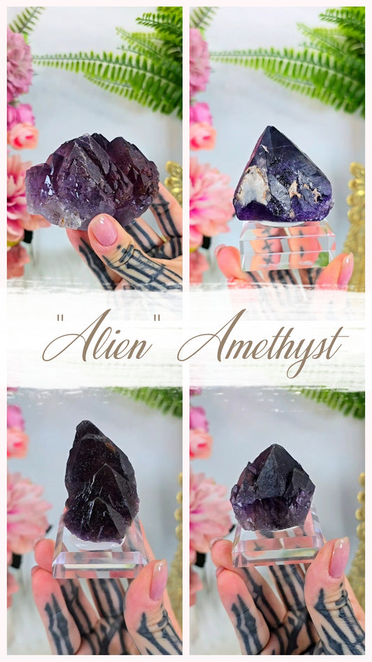 "Alien" Amethyst Specimens on Base