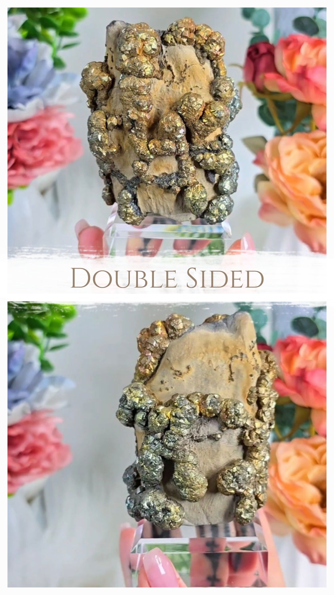 Pyrite on Limonite 04