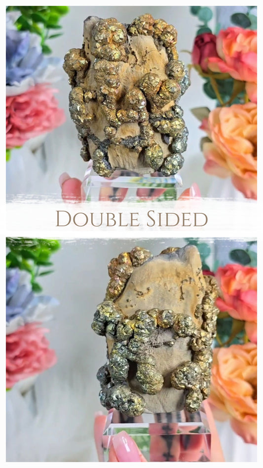 Pyrite on Limonite 04