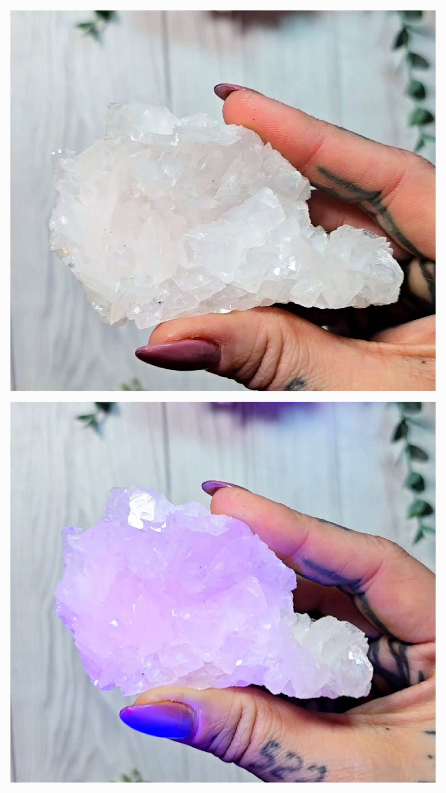 UV reactive Mangano Calcite