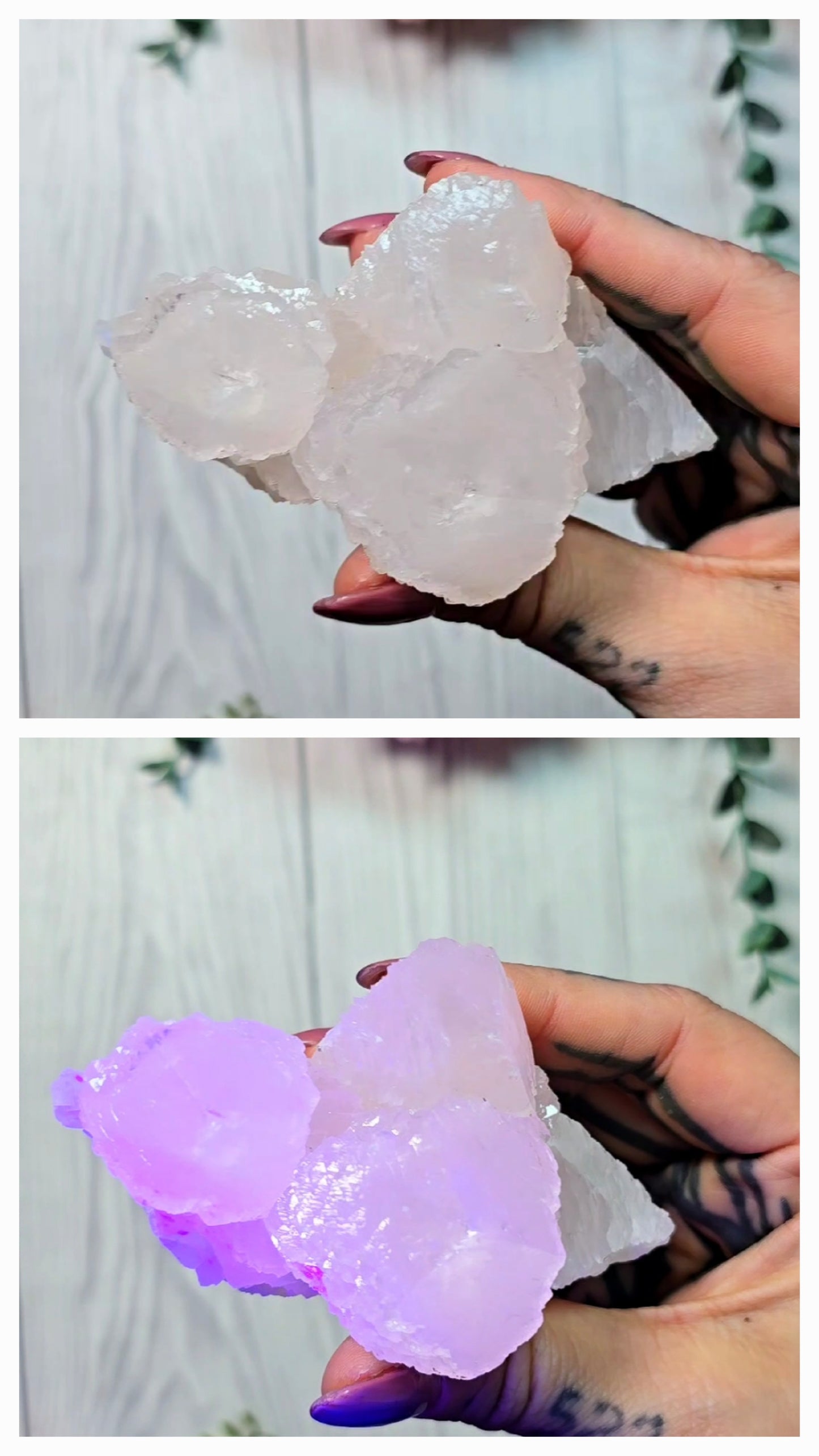 UV reactive Mangano Calcite