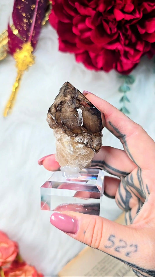 Elestial Smoky Quartz on base