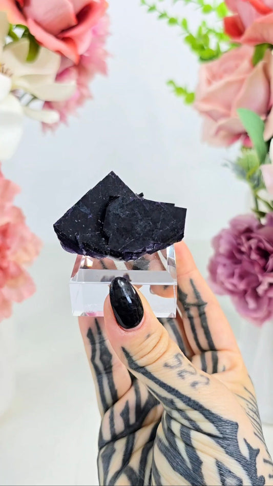 Dark Purple Fluorite 03