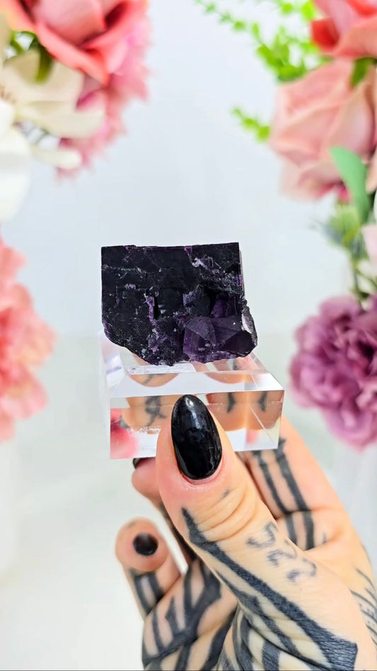Dark Purple Fluorite 05