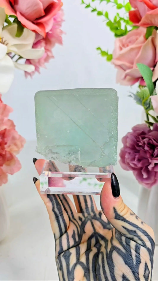 Big Single Cube Fluorite