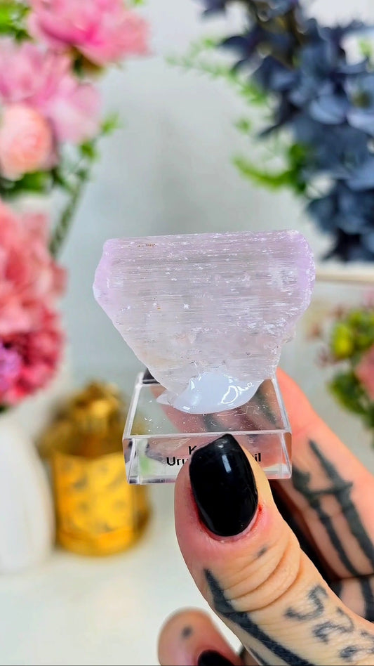 Kunzite Specimen on Base