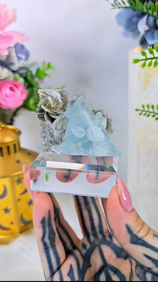 Aquamarine & Muscovite 06 – Fine Beryl Mineral Specimen on Clear Base