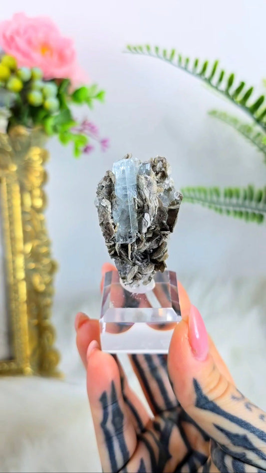 Aquamarine on Muscovite 04 – Premium Beryl Specimen from Pakistan on Clear Display Base