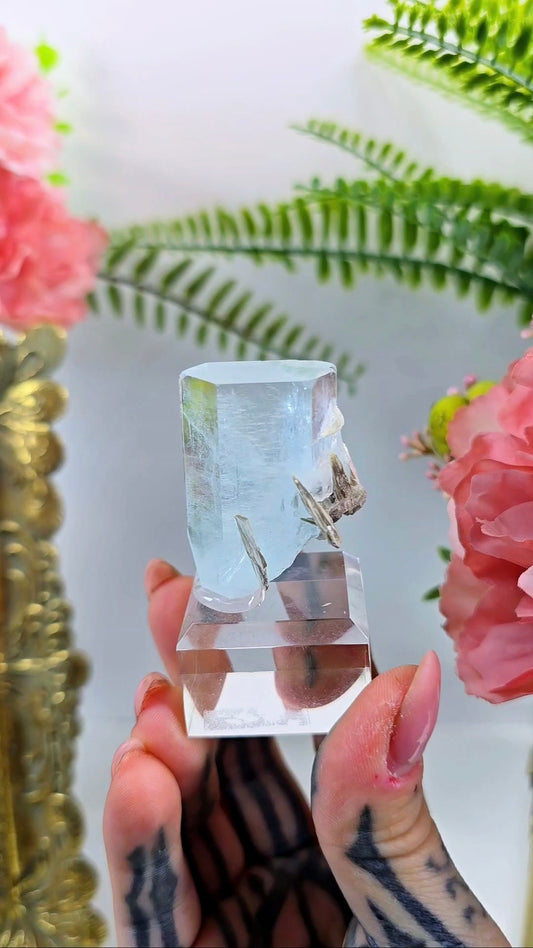Aquamarine with Muscovite 09 – Fine Beryl Mineral Specimen on Clear Base