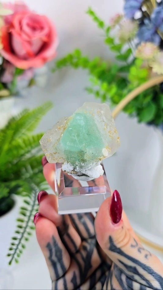 Green & light pink Fluorite – Specimen on Clear Base