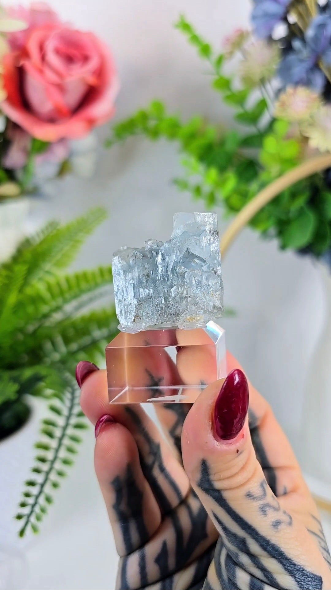Rare Etched Aquamarine 12 – Natural Beryl Specimen on Clear Base, Unique Crystal