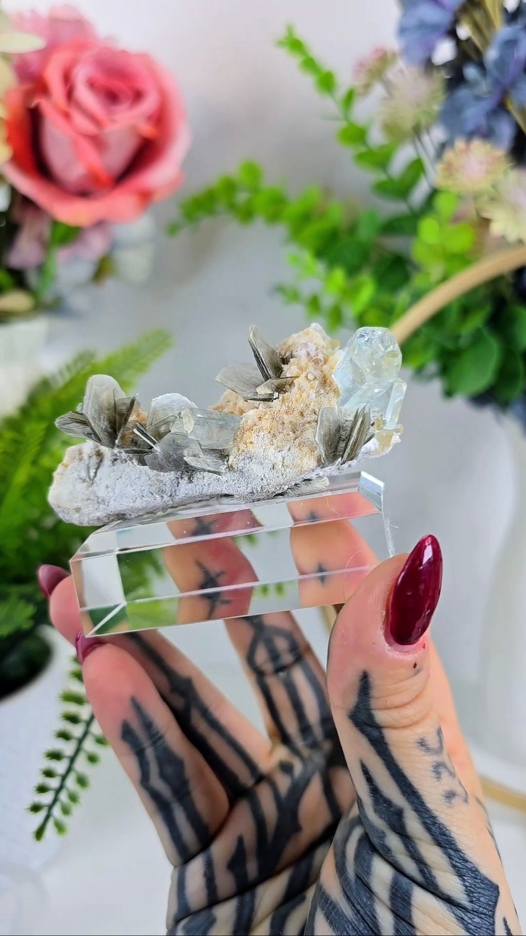 Aquamarine with Muscovite on Albite 13 – Premium Mineral Specimen