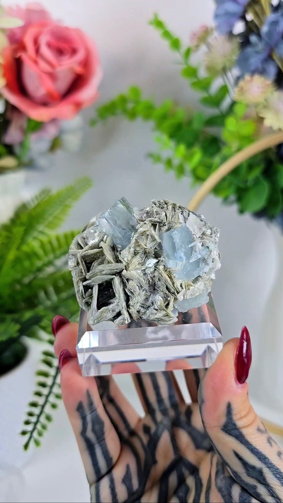 Aquamarine with Muscovite 15 – Fine Beryl Mineral Specimen on Clear Base