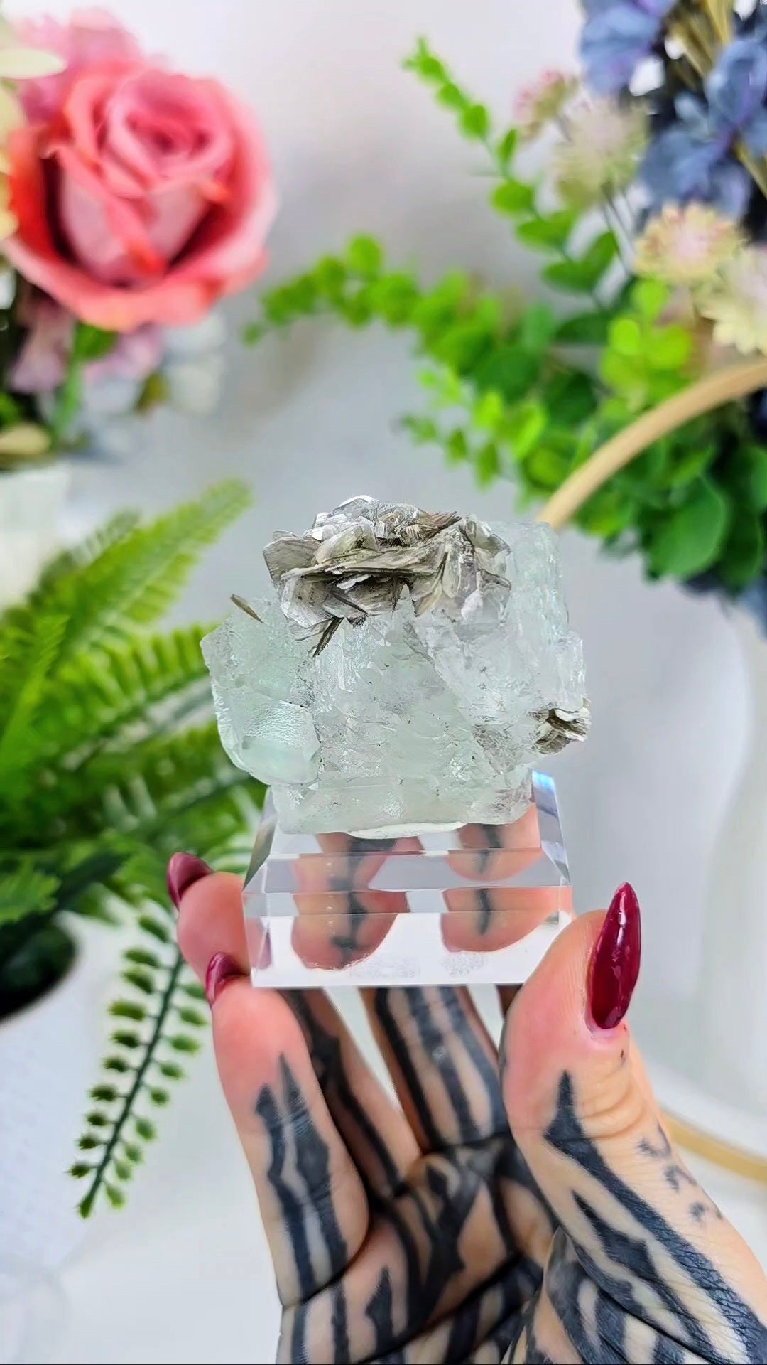 Pastel Green & Pink Fluorite with Muscovite – Rare Specimen on Clear Base