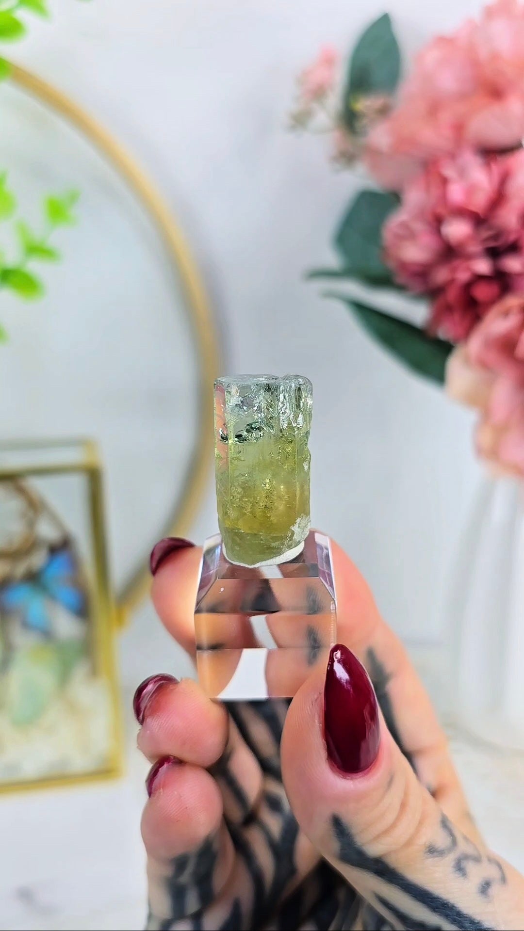 Aquador Specimen on Base 05