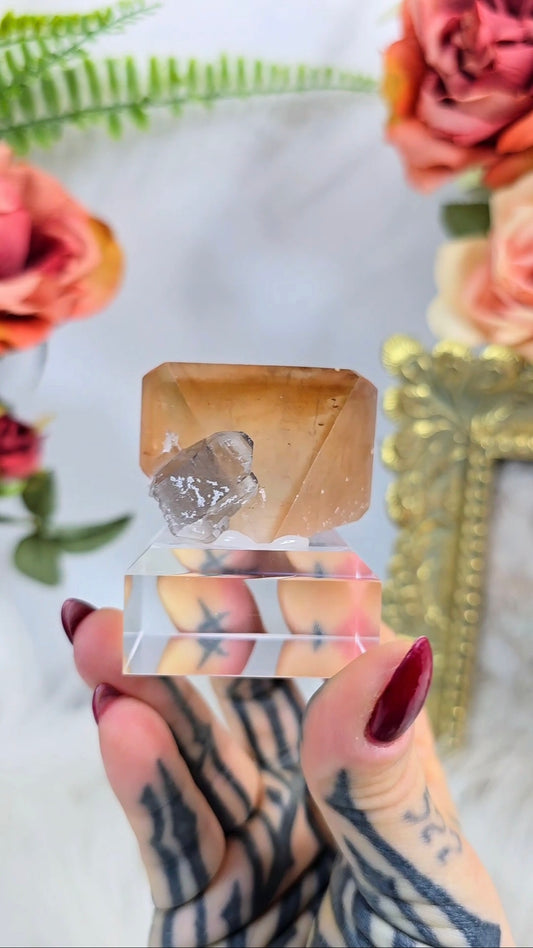 Natural Topaz Crystal with Smoky Quartz 08 | Unique Collector Display Piece