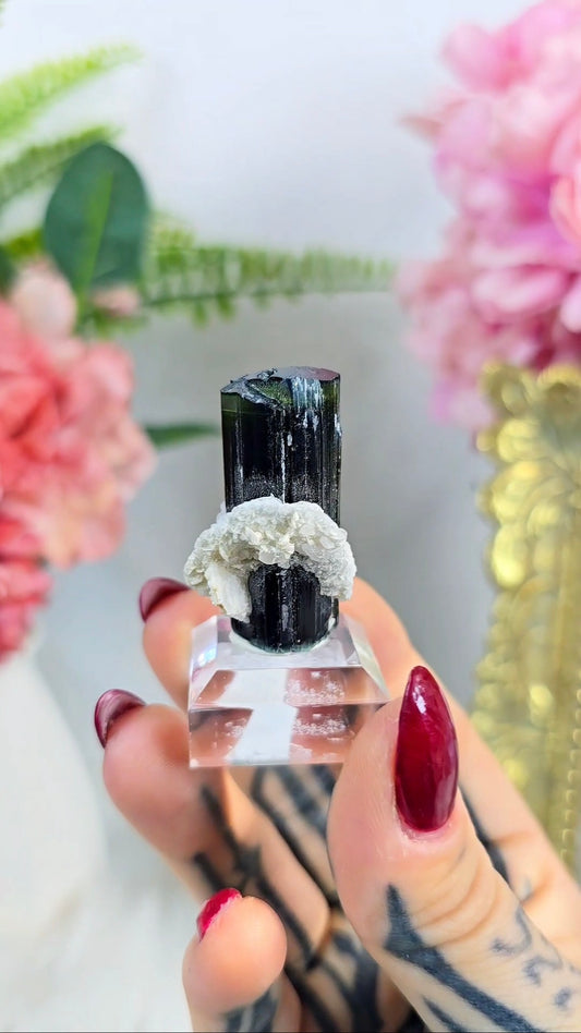 Green Cap Tourmaline with Albite