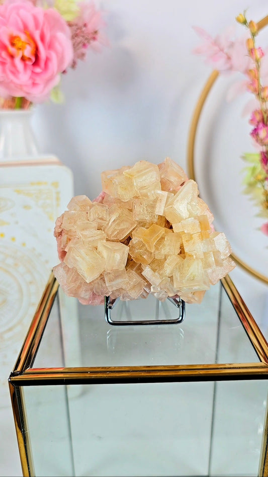 Pink / Green Halite H04