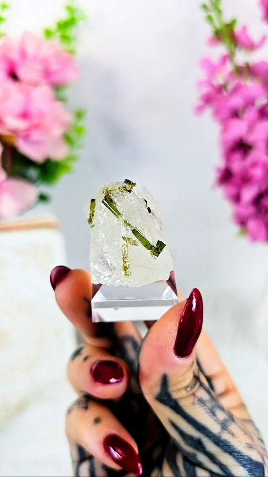 Tourmalin on Quartz Specimen on Base 02