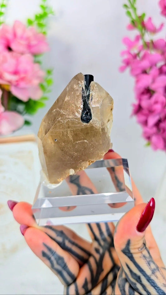 Blue / Green Tourmalin on Smoky Quartz Specimen on Base 03