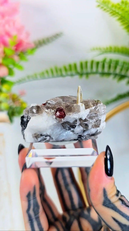 Garnet on Smoky Quartz with Tourmaline and Muscovite Specimen