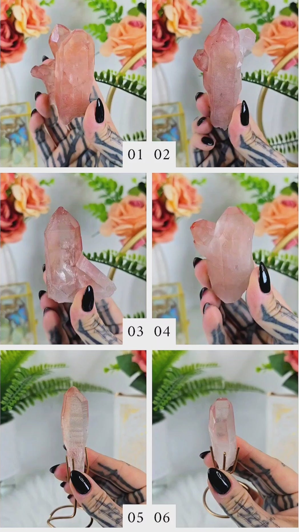 Sunset Lemurian on Stand