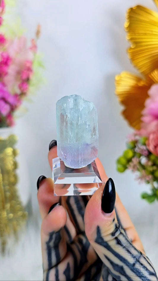 Bi-coloured Kunzite Specimen on Base 16
