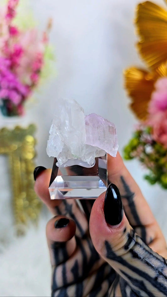 Kunzite on Quartz Specimen on Base 15