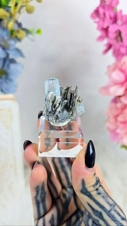 Aquamarine on Muscovite 22