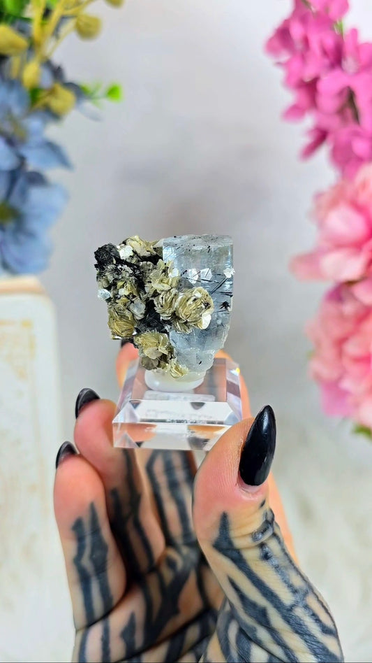 Aquamarine and Tourmaline on Muscovite 25