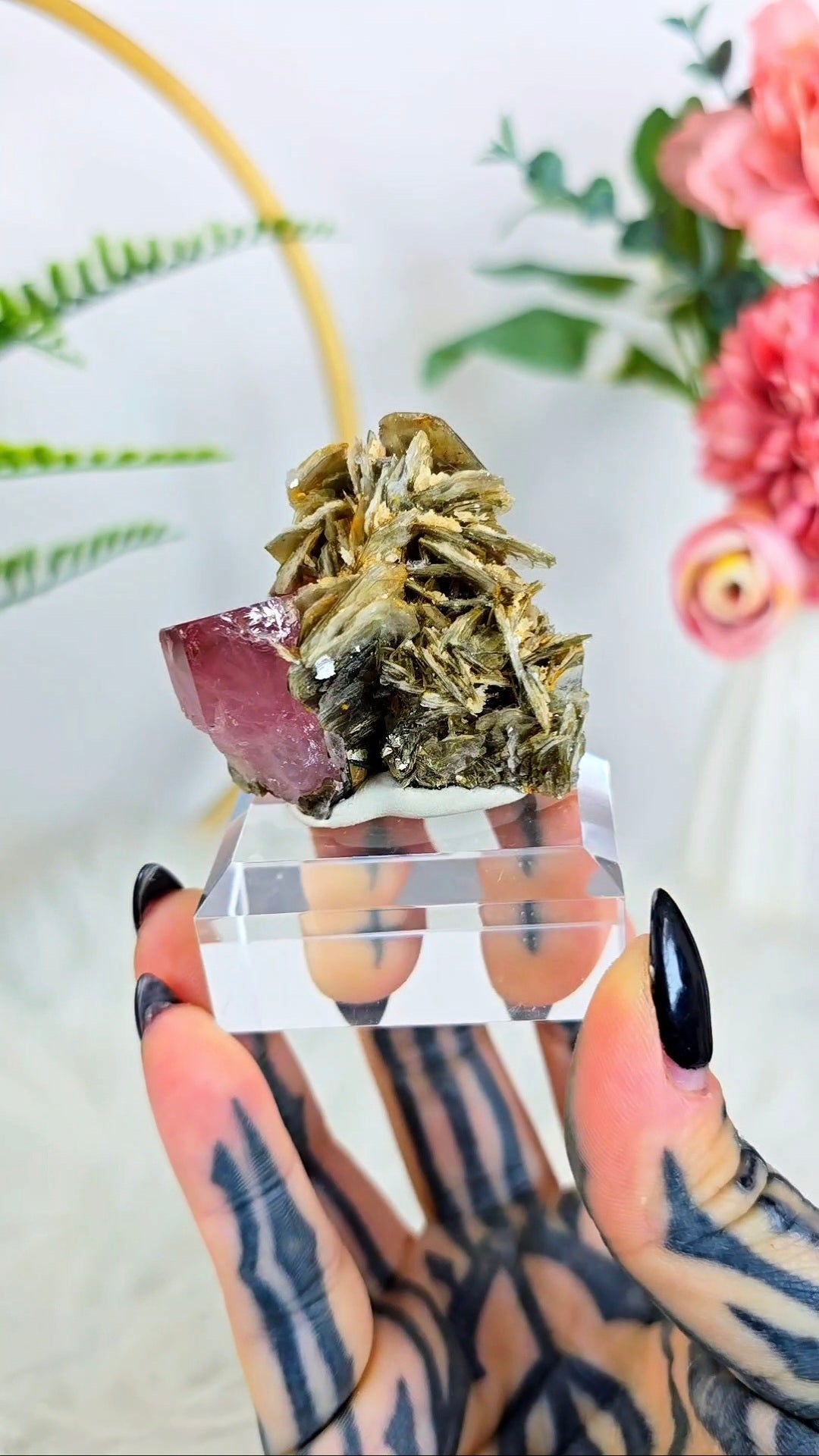Pink Apatite on Muscovite Specimen on Base 05
