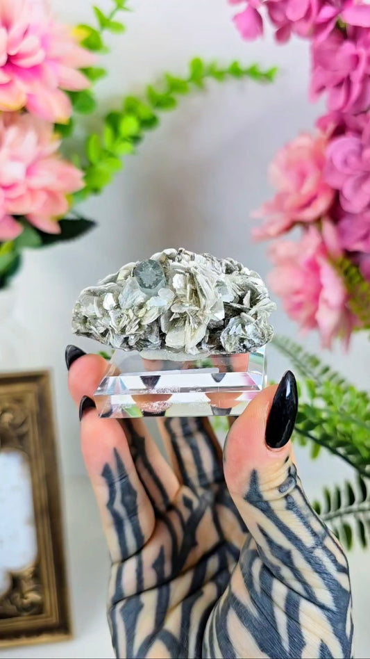 Aquamarine on Muscovite Beryll Specimen on Base 38