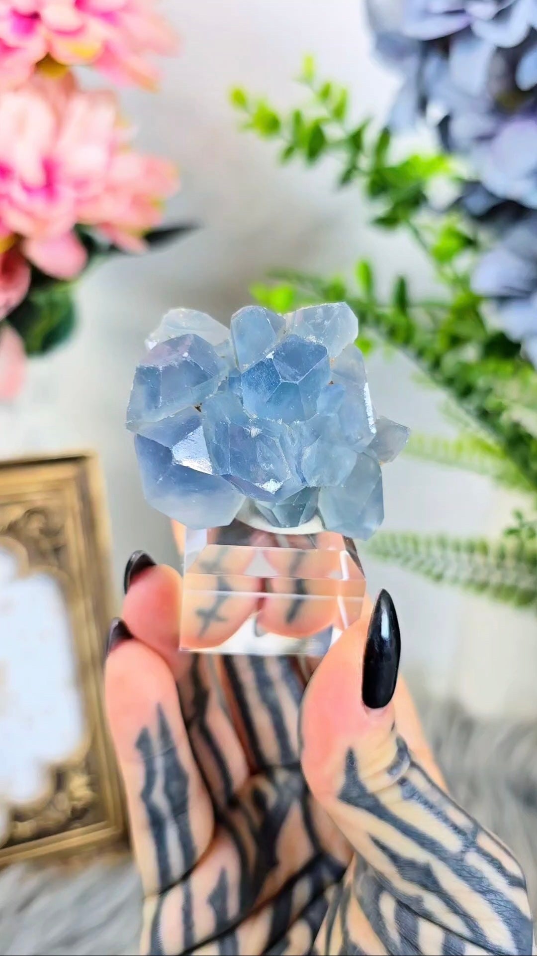 Celestite Cluster on Base 02