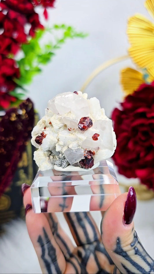 Garnet and Quartz on Albite Mineral Specimen on Stand G05