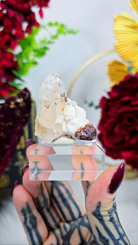 Garnet and Quartz on Albite Mineral Specimen on Stand G06