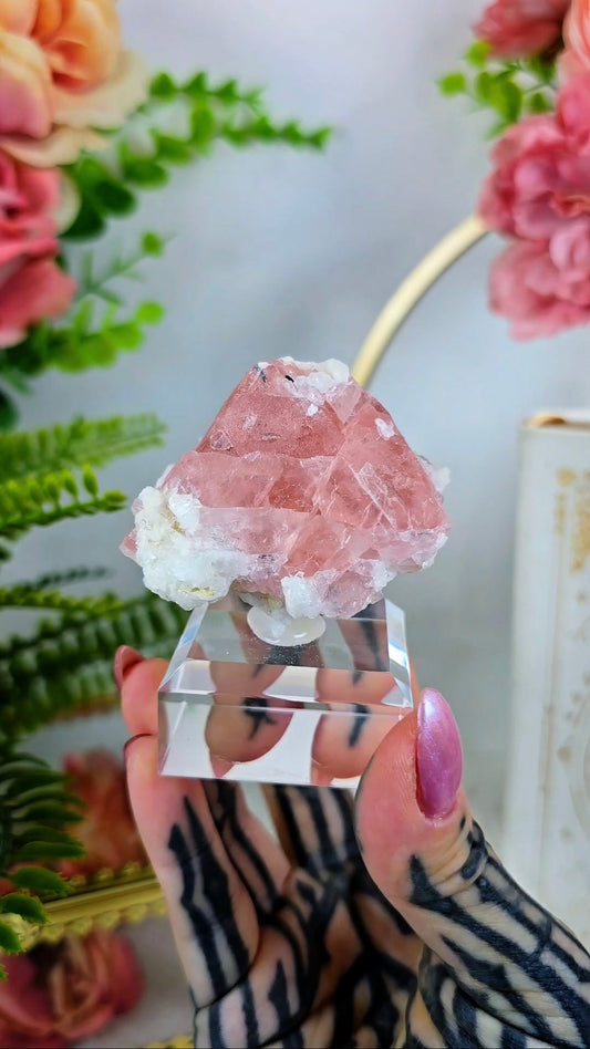 Pink "Strawberry" Fluorite with Albite on Base 05