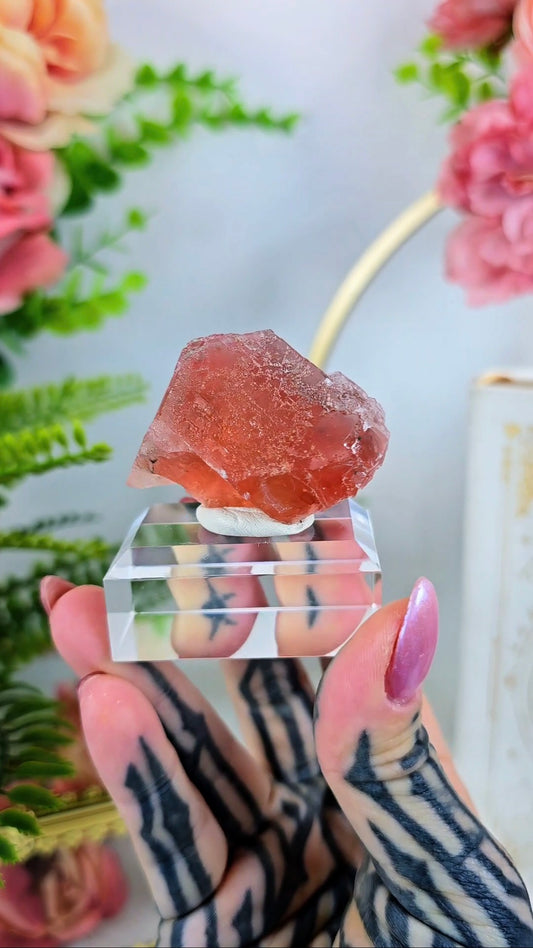 Pink "Strawberry" Fluorite on Base 03