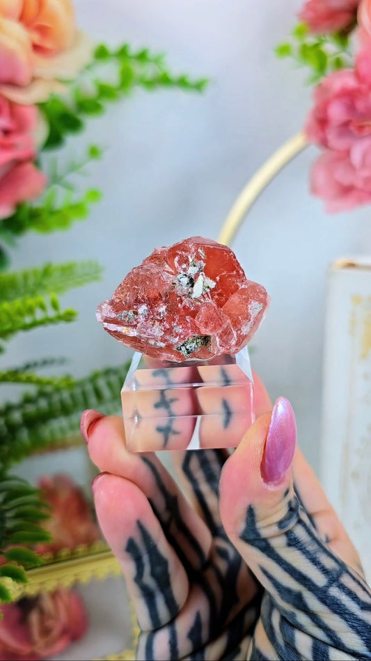 Pink "Strawberry" Fluorite with muscovite on Base 02