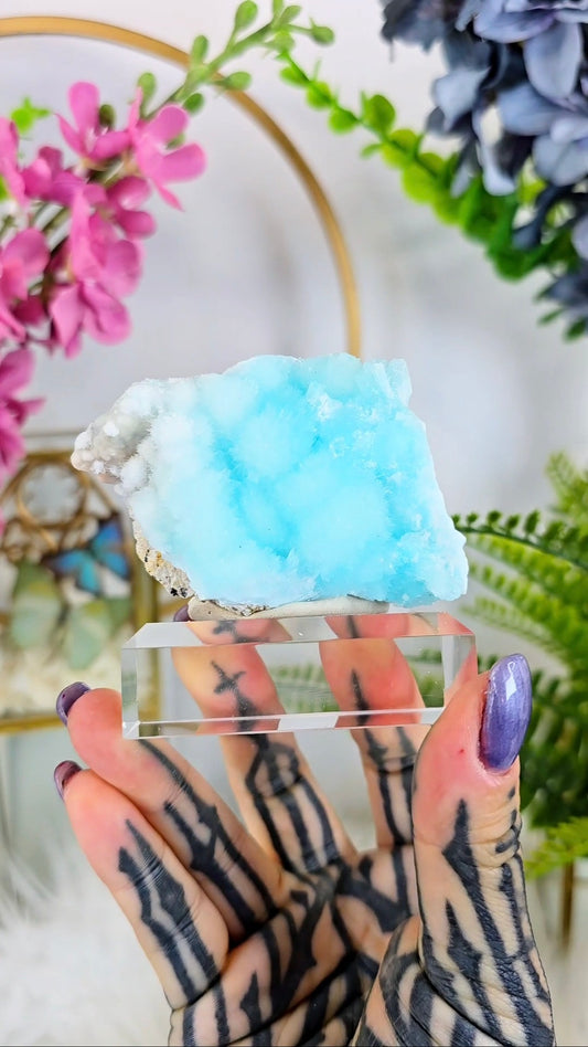 Natural Aragonite Specimens on Base 02