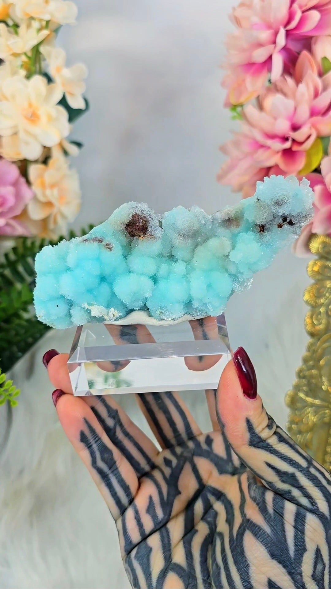 Natural Aragonite Specimens on Base 04